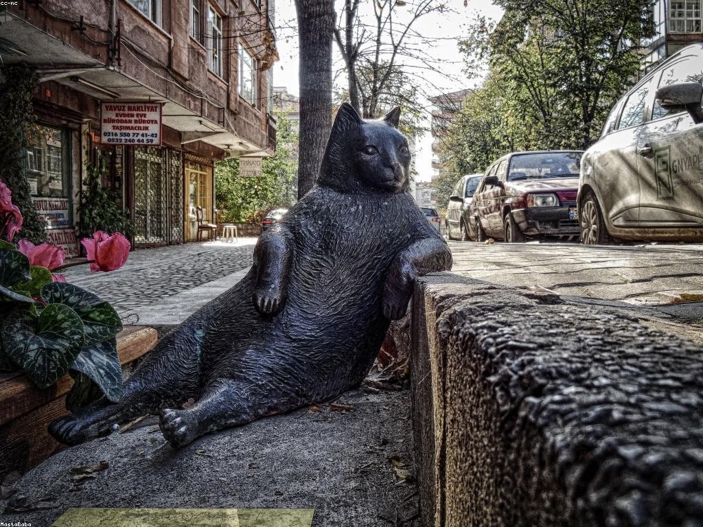 អ្វីដែលអ្នកត្រូវការដឹងអំពីស្លត